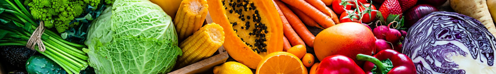 Feed Your Code Gezond Vitaliteit